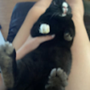 Meet your Posher, Alana